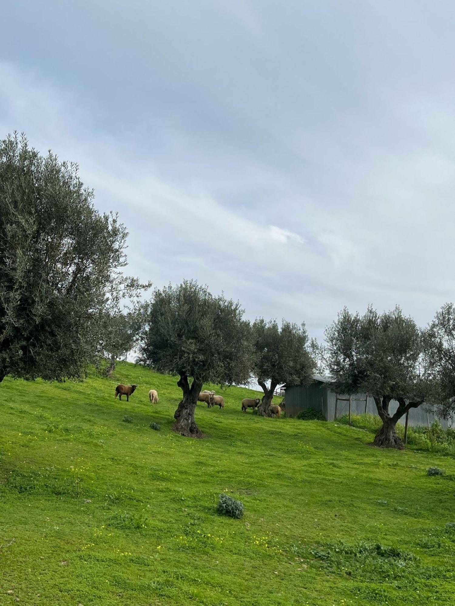 Cantinho Da Villa بورتيل المظهر الخارجي الصورة